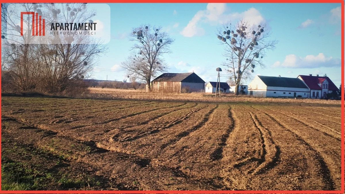 DUŻA działka 5 minut od Świecia, kwadrat !