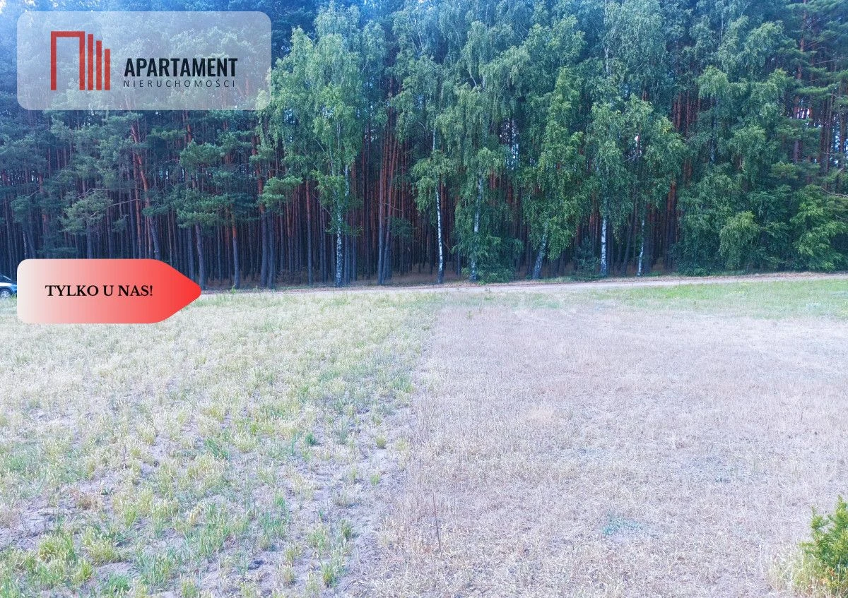 TYLKO U NAS !!! PIĘKNA OTULONA LASEM I C!SZĄ!