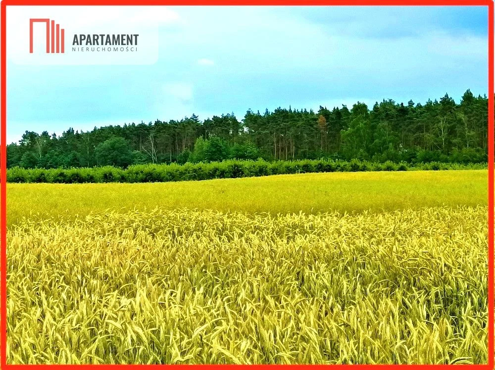 SZCZUTKI-MORZEWIEC 862m2  LAS CISZA SPOKÓJ