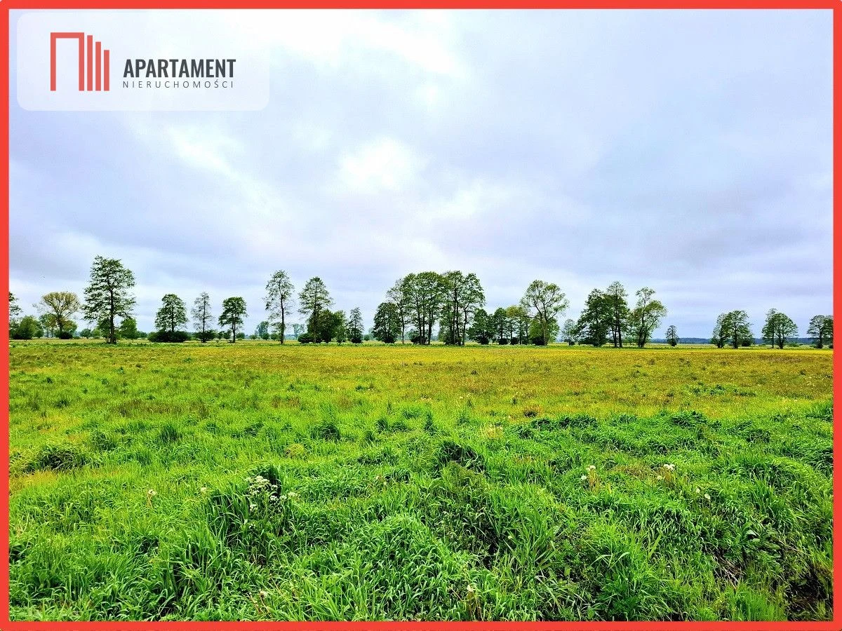 Dziemionna 1440 m2 z warunkami zabudowy
