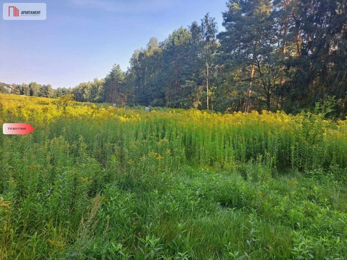 Działka 10 ar/mpzp/widok na las!