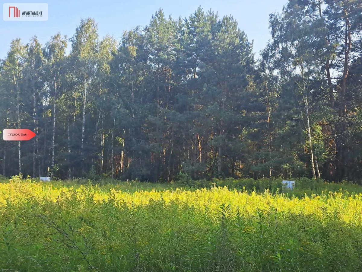 Działka 10 ar/mpzp/widok na las! - 3
