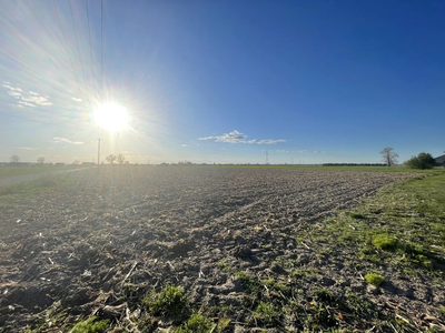 Tęcza nie kłamie, tu jest złoto! 1615 m²