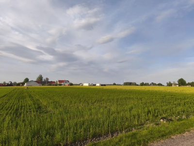 Działka Wola Miedniewska 2999m2 z WZ - OKAZJA!