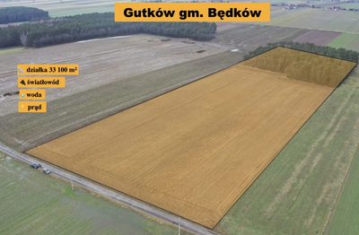 Działka z lasem w super cenie!