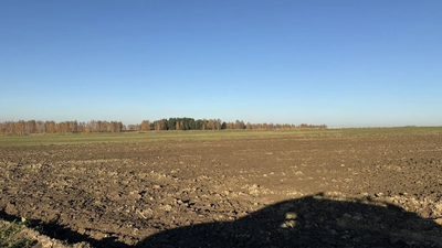 Działka inwestycyjna na sprzedaż – Dąbrówka Wielka