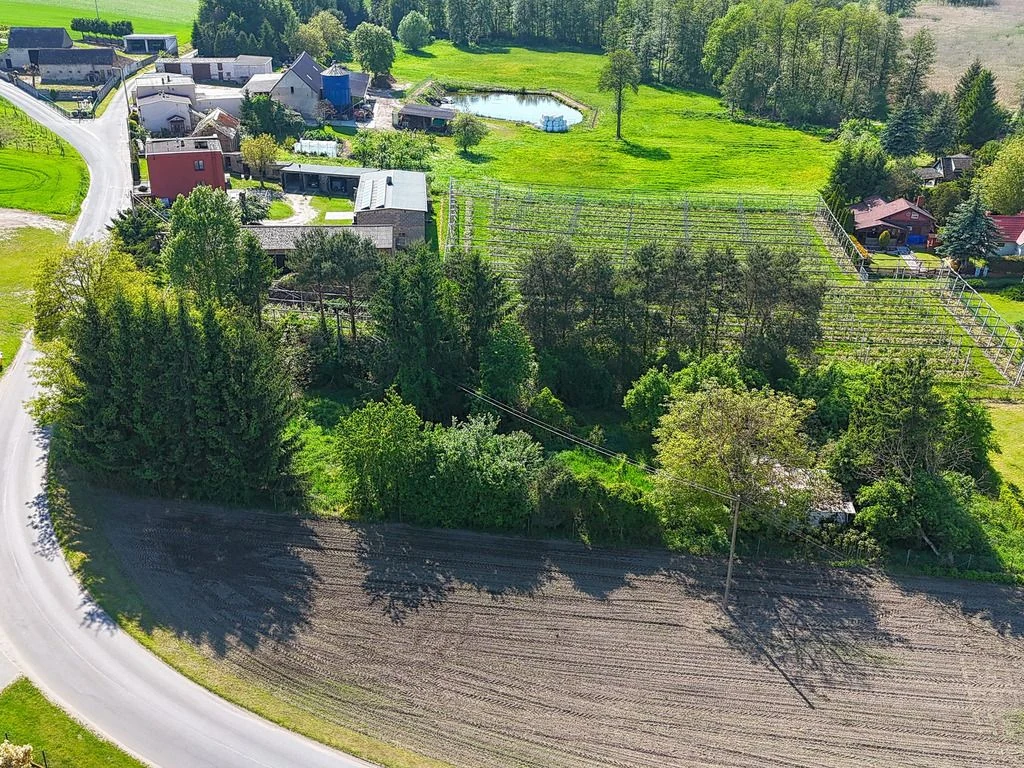 Działka budowlana SJ | Mirosławki | 2000 m2 | natura - 4