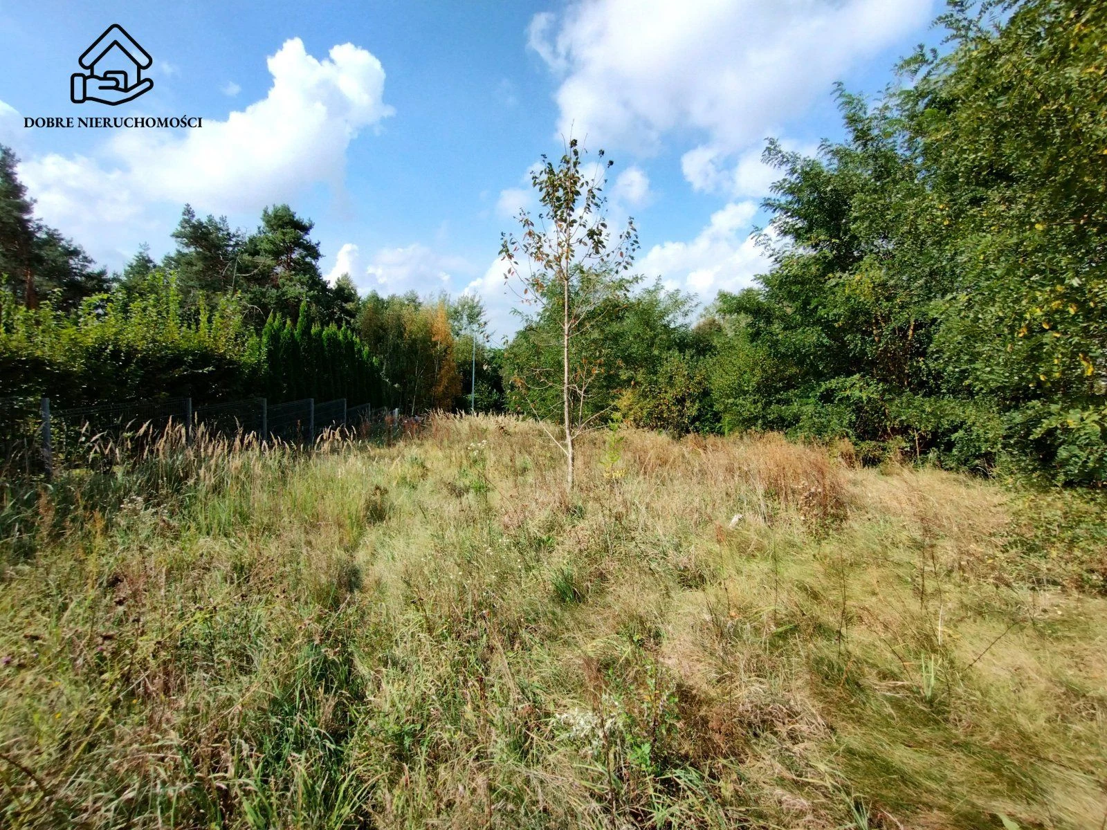 Dz. budowlana blisko rzeki i zalewu Prawiedniki - 4