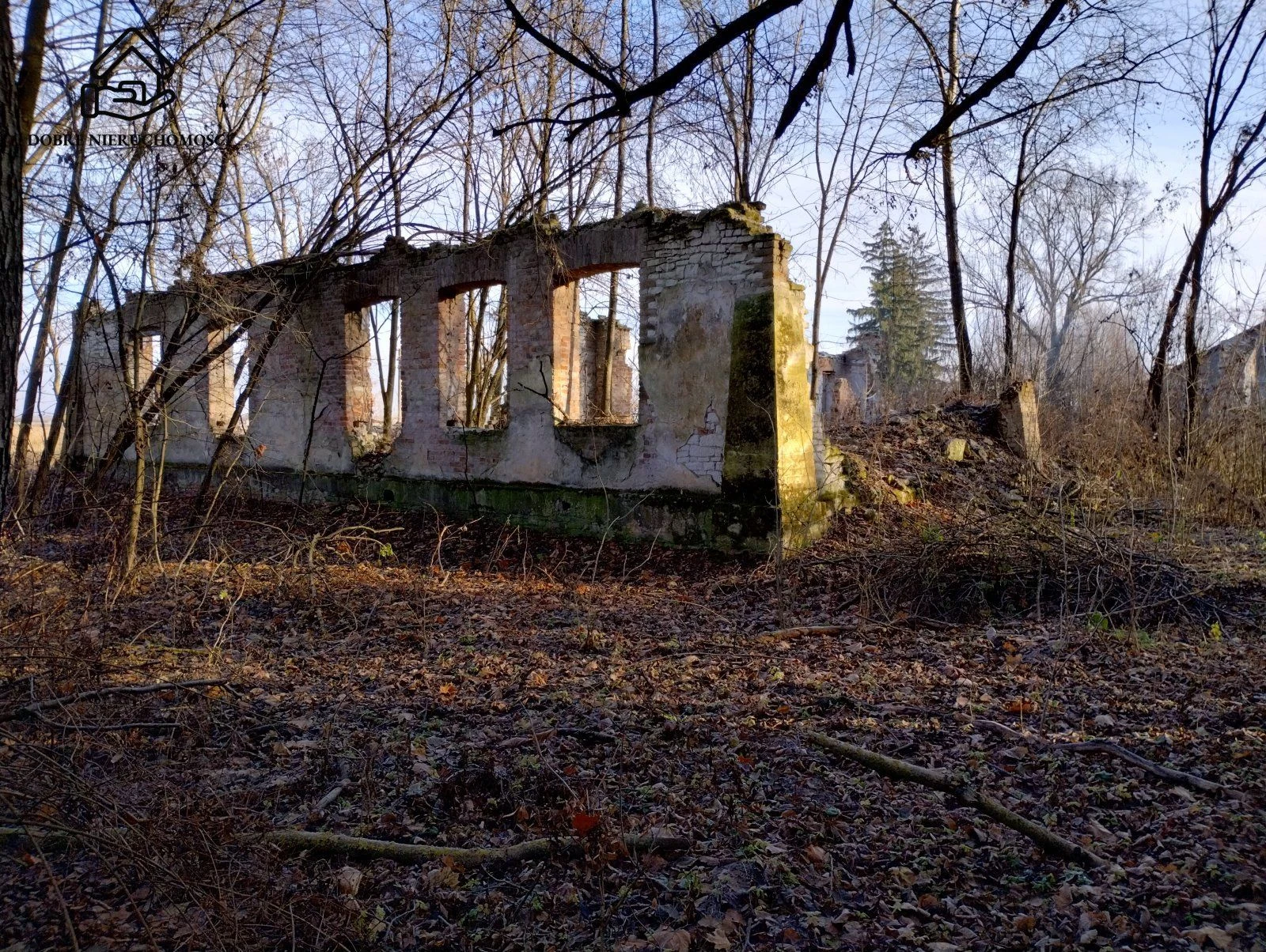 1800 m2 - działka budowlana pod lasem. - 5