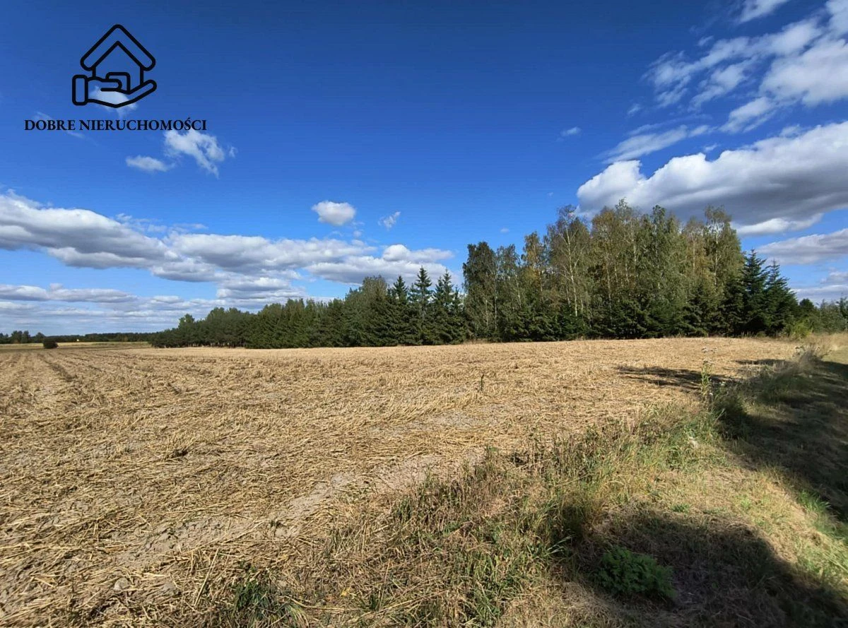 2564 m2 przy drodze asfaltowej - piękna okolica. - 2