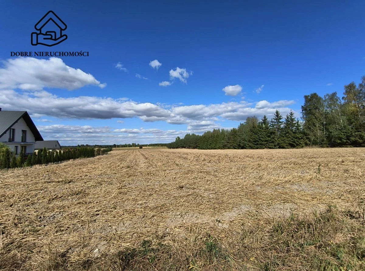2564 m2 przy drodze asfaltowej - piękna okolica. - 4