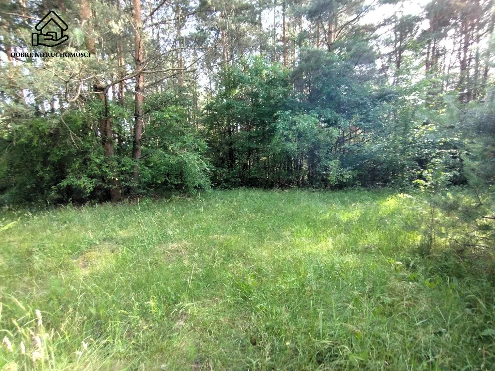2950 m2 - Dąbrówka - piękna zielona okolica. - dd_fb4450c2_zs_238920_1.jpg