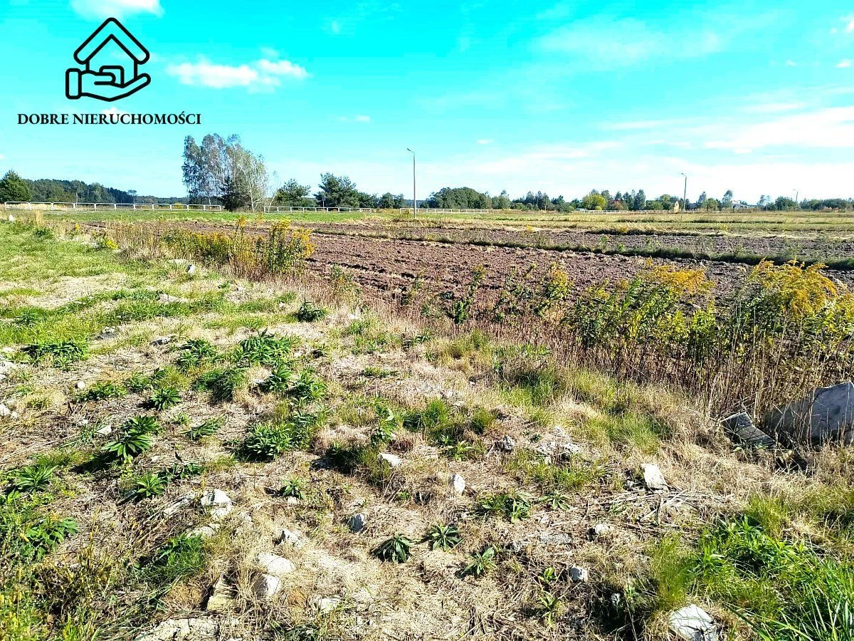 Działka 1600 m2 - Rokitno - Lubartów - 2