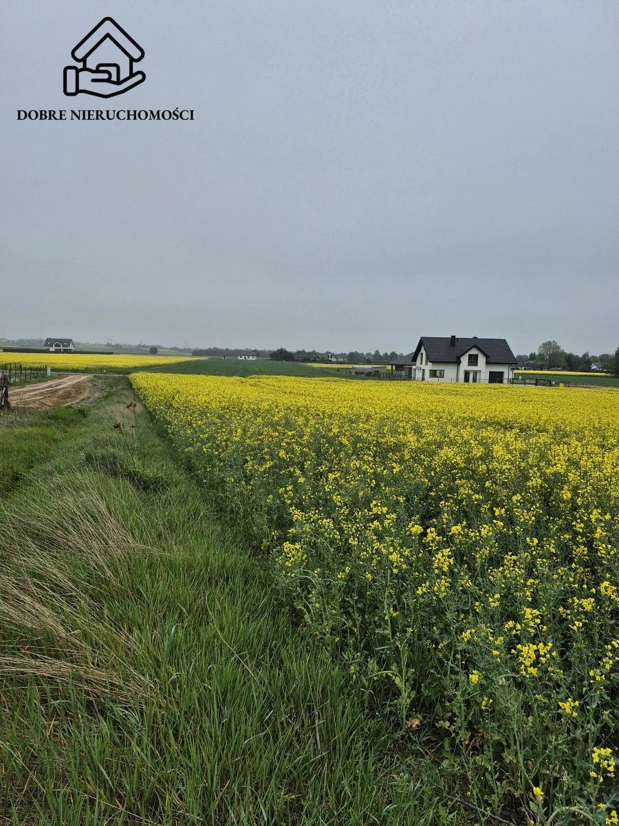 Działka budowlana 1534 m2 - Żabia Wola - 2