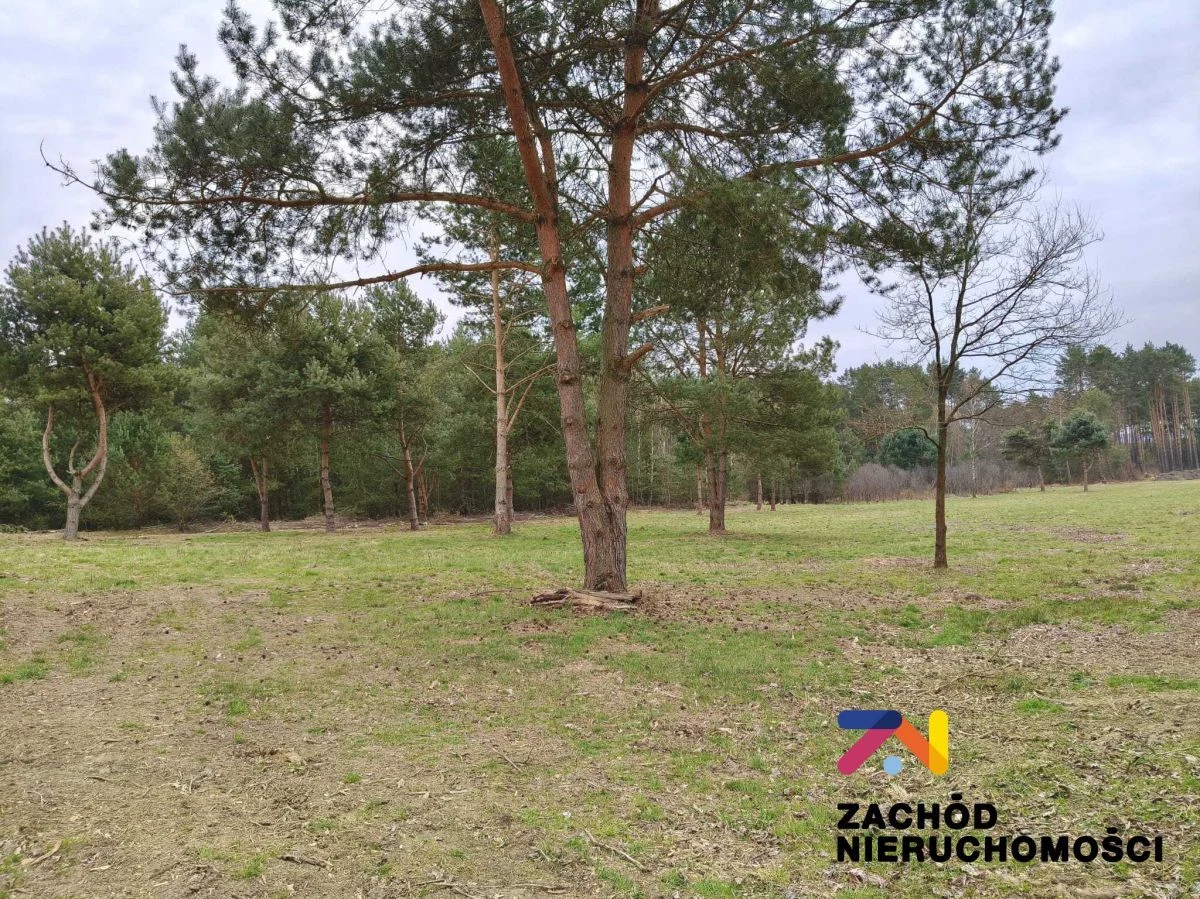 Prezentujemy Państwu kompleks 12 działek budowlanych w gm.Świdnica, zaledwie 12km od Zielonej Góry. Idealne miejsce dla osób ceniącychspokój i ciszę.