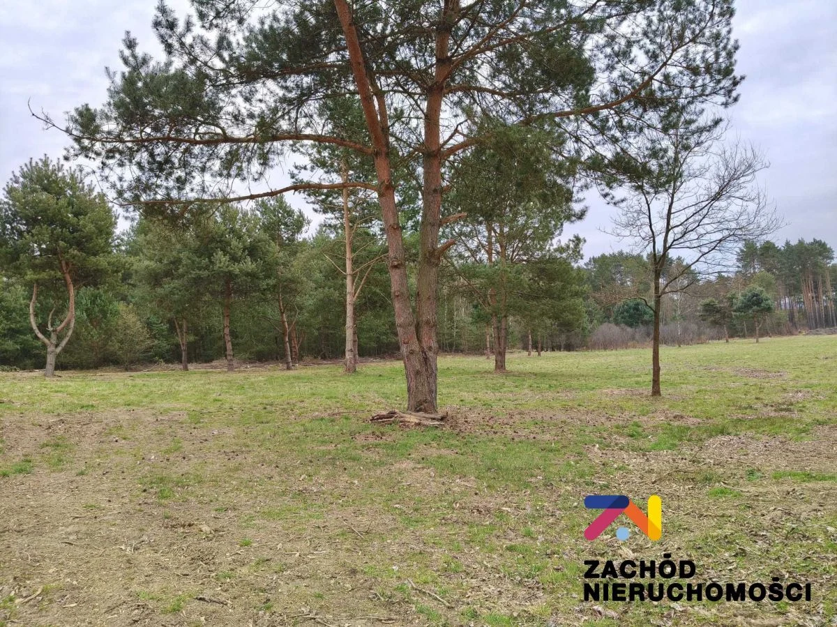 Prezentujemy Państwu kompleks 12 działek budowlanych w gm.Świdnica, zaledwie 12km od Zielonej Góry. Idealne miejsce dla osób ceniących spokój i ciszę. - 166140227-1l.jpg