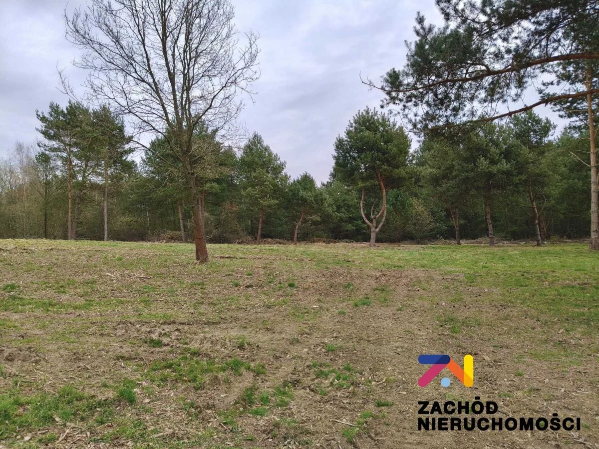 Prezentujemy Państwu kompleks 12 działek budowlanych w gm.Świdnica, zaledwie 12km od Zielonej Góry. Idealne miejsce dla osób ceniących spokój i ciszę. - 4