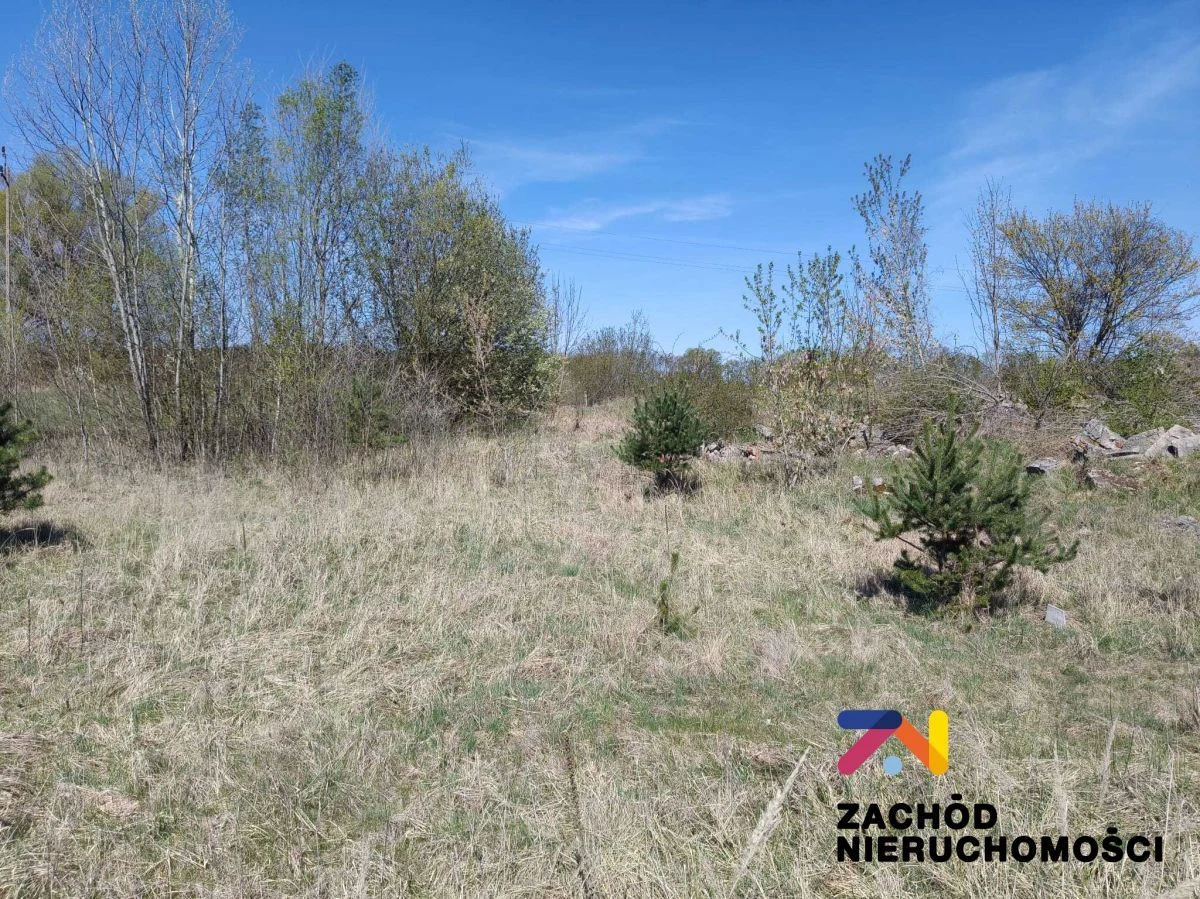 Przedstawiamy Państwu atrakcyjną ofertę działki budowlanej położonej w malowniczej miejscowości Zabór, zaledwie 17 km od Zielonej Góry. - 166270227-1l.jpg