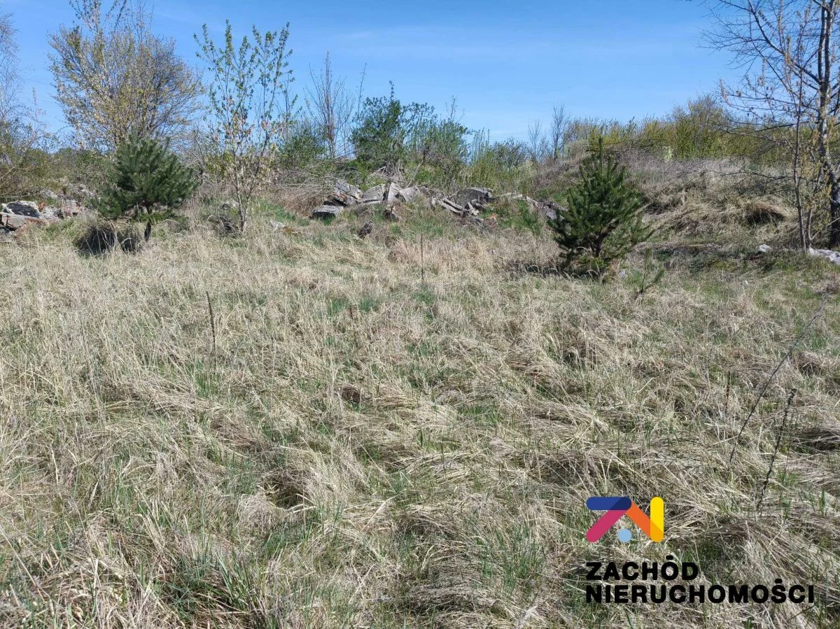 Przedstawiamy Państwu atrakcyjną ofertę działki budowlanej położonej w malowniczej miejscowości Zabór, zaledwie 17 km od Zielonej Góry. - 2