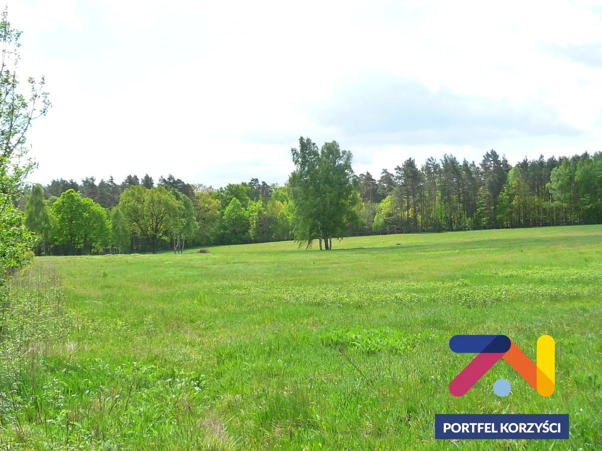 Oferujemy Państwu na sprzedaż dom wolnostojący w gm Lubsko wraz z zabudowaniami gospodarczymi położonymi na działce o pow. 2035m2 z możliwością dokupienia gruntu obok, w odległości 11 km od Lubska, 3… - 3