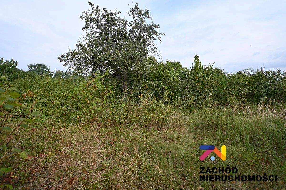 Oferujemy Państwu do sprzedaży dom wolnostojący o pow. 106m2 wraz z budynkami gospodarczymi (łączna pow. budynków gospodarczych:168m2). - 5
