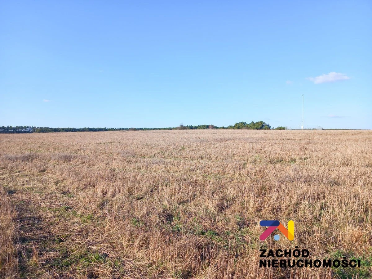 Oferujemy Państwu na sprzedaż działki budowlane o pow. 3678m2 zlokalizowaną w gminie Zabór - 4