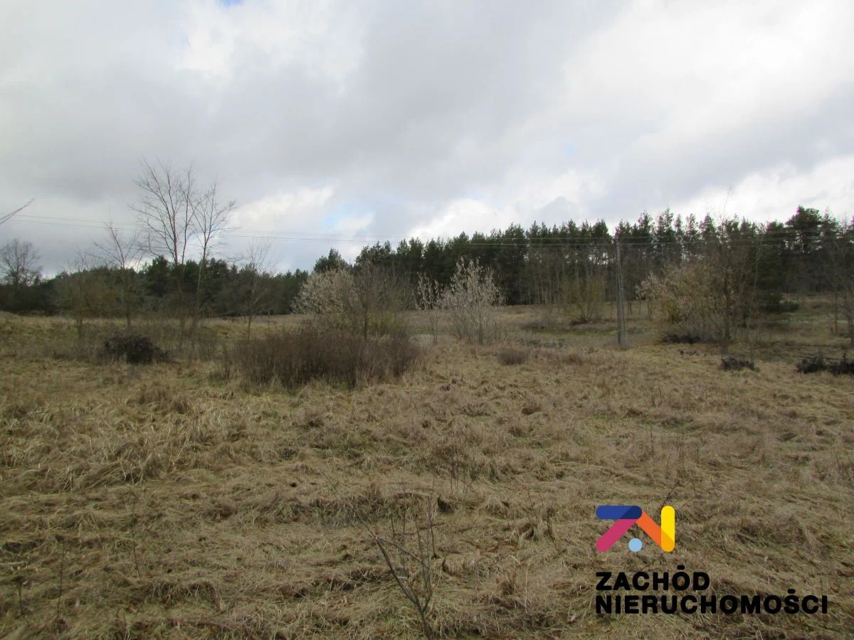 Na sprzedaż duża działka o powierzchni ok. 4000 m2 usytuowana w miejscowości Górzykowo koło Sulechowa- powiat zielonogórski. Działka o nierównomiernym kształcie- pięciokąt.