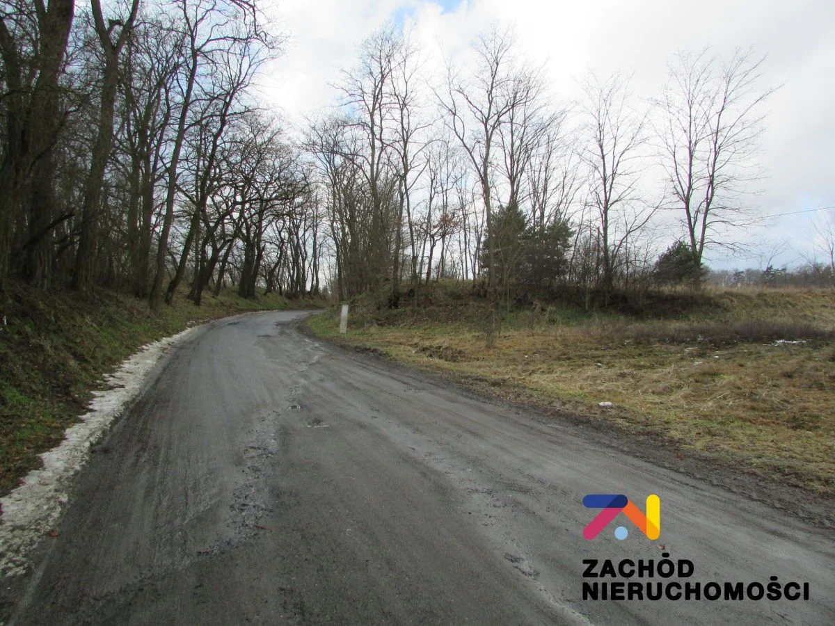 Na sprzedaż duża działka o powierzchni ok. 4000 m2 usytuowana w miejscowości Górzykowo koło Sulechowa- powiat zielonogórski. Działka o nierównomiernym kształcie- pięciokąt. - 3