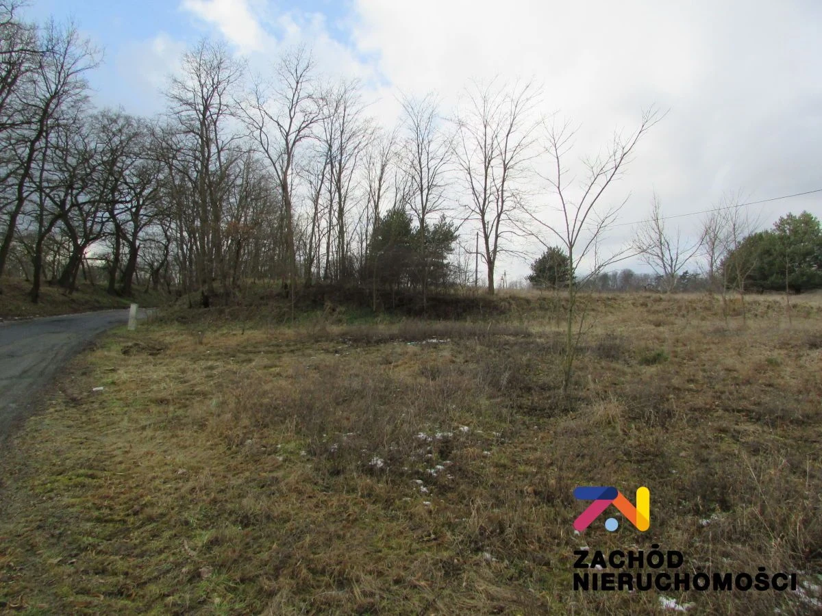 Na sprzedaż duża działka o powierzchni ok. 4000 m2 usytuowana w miejscowości Górzykowo koło Sulechowa- powiat zielonogórski. Działka o nierównomiernym kształcie- pięciokąt. - 4