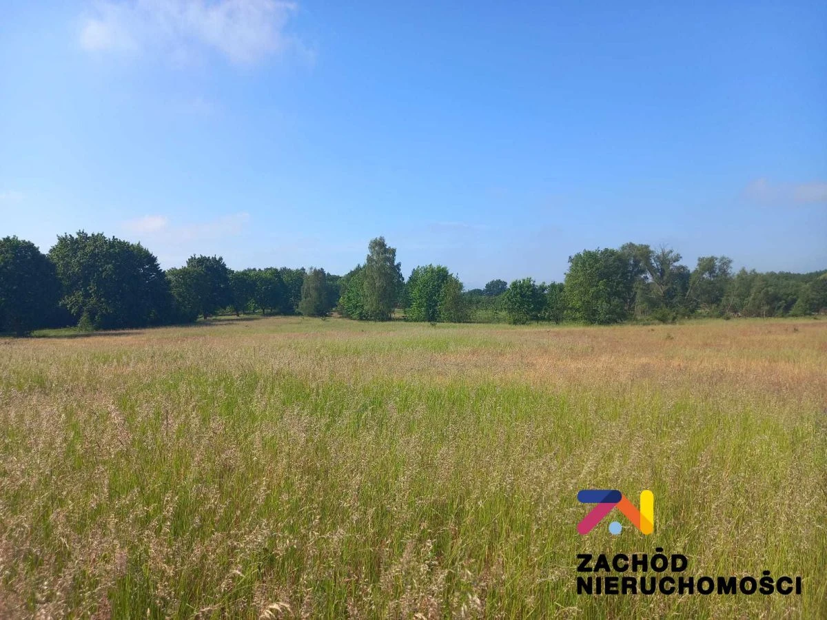 Oferujemy na sprzedaż atrakcyjnie położone działki w miejscowości Droszków (gmina Zabór). - 2