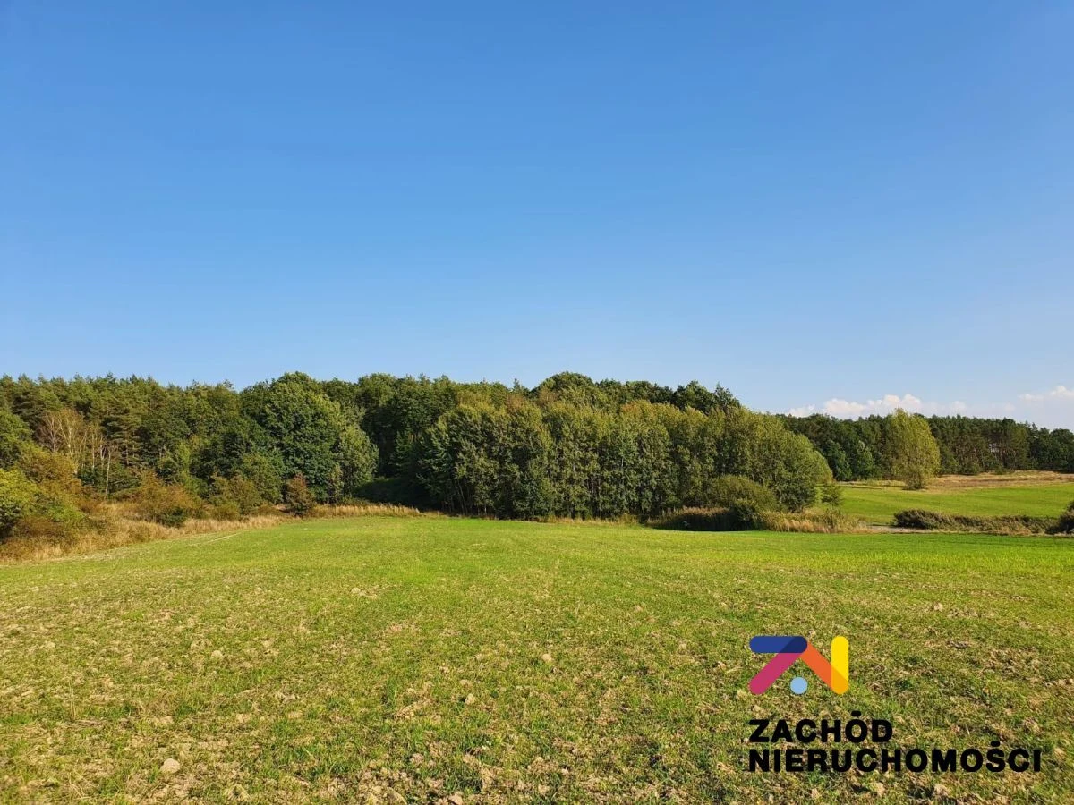 Na sprzedaż działka budowlana o pow. 1565 m2 usytuowana w kompleksie 10 działek zlokalizowanych w miejscowości Drągowina koło Nowogrodu Bobrzańskiego.