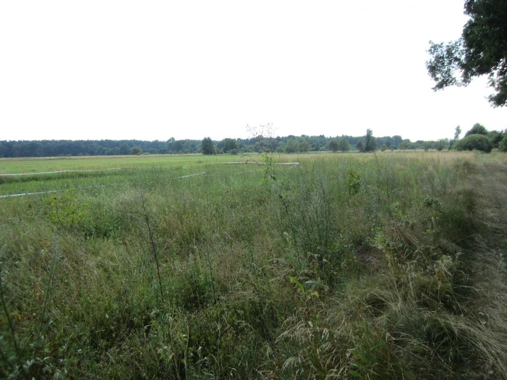 Oferujemy Państwu działkę leśną o powierzchni 13000m2 zlokalizowaną w Kiełpinie. - 71340227-1l.jpg
