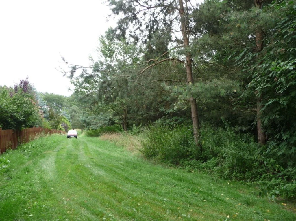 OFERUJEMY PAŃSTWU DO SPRZEDAŻY DZIAŁKĘ POD BUDOWĘ USYTUOWANĄ W OBRĘBIE DYCHÓW w gminie Bobrowice, powiat krośnieński. - 3