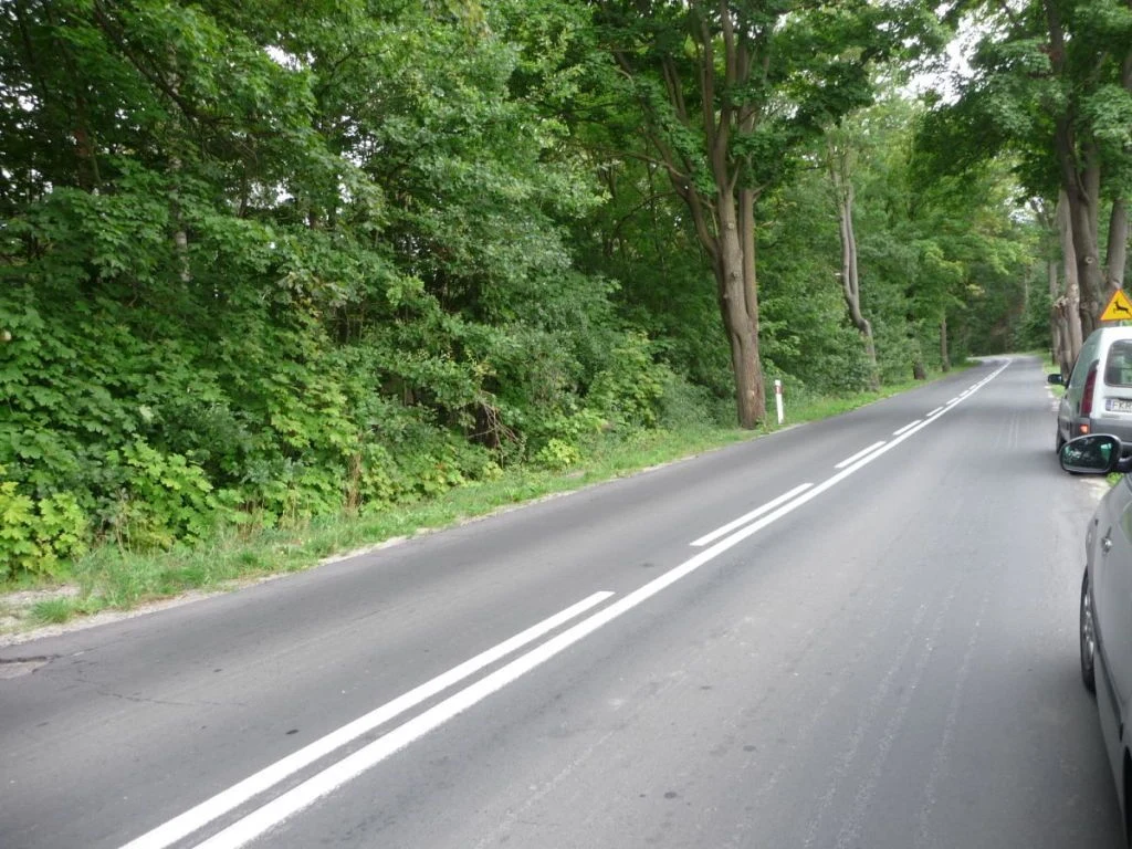 OFERUJEMY PAŃSTWU DO SPRZEDAŻY DZIAŁKĘ POD BUDOWĘ USYTUOWANĄ W OBRĘBIE DYCHÓW w gminie Bobrowice, powiat krośnieński. - 3