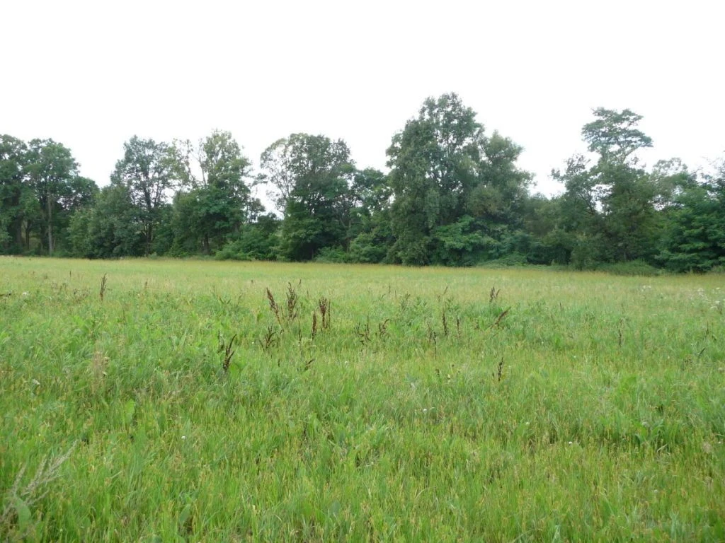 OFERUJEMY PAŃSTWU DO SPRZEDAŻY DZIAŁKĘ POD BUDOWĘ USYTUOWANĄ W OBRĘBIE DYCHÓW w gminie Bobrowice, powiat krośnieński. - 56360227-1l.jpg