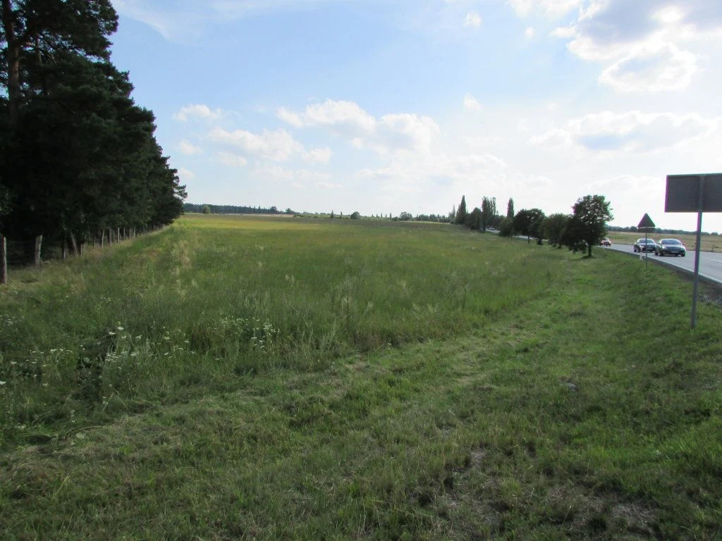Proponujemy na sprzedaż interesującą działkę inwestycyjną o powierzchni 16,9 ha, położoną w Nowogrodzie Bobrzańskim, oddaloną 20 km od Zielonej Góry.