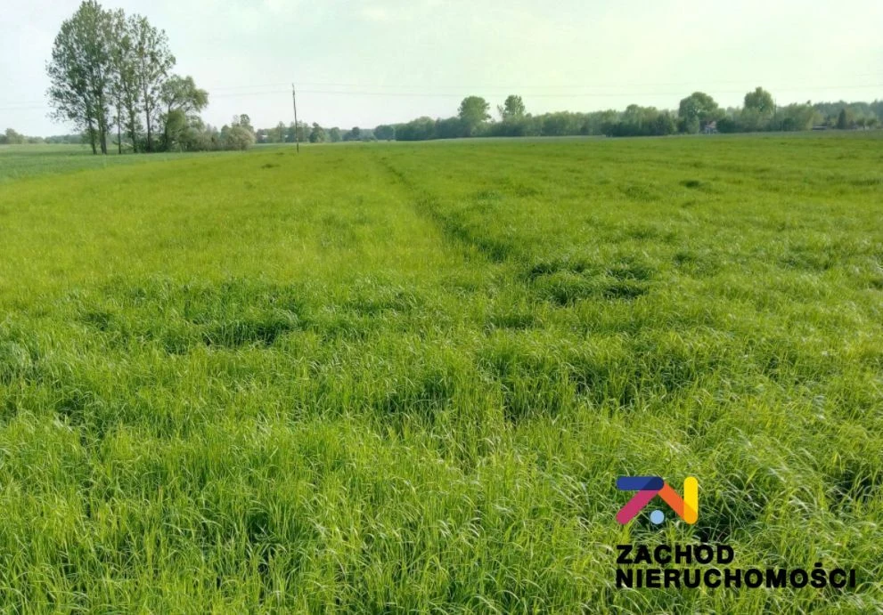 Oferujemy Państwu na sprzedaż działkę budowlaną o powierzchni 1130m2 położoną w Książu Śląskim w spokojnej okolicy, w otoczeniu lasów. - 156280227-1l.jpg