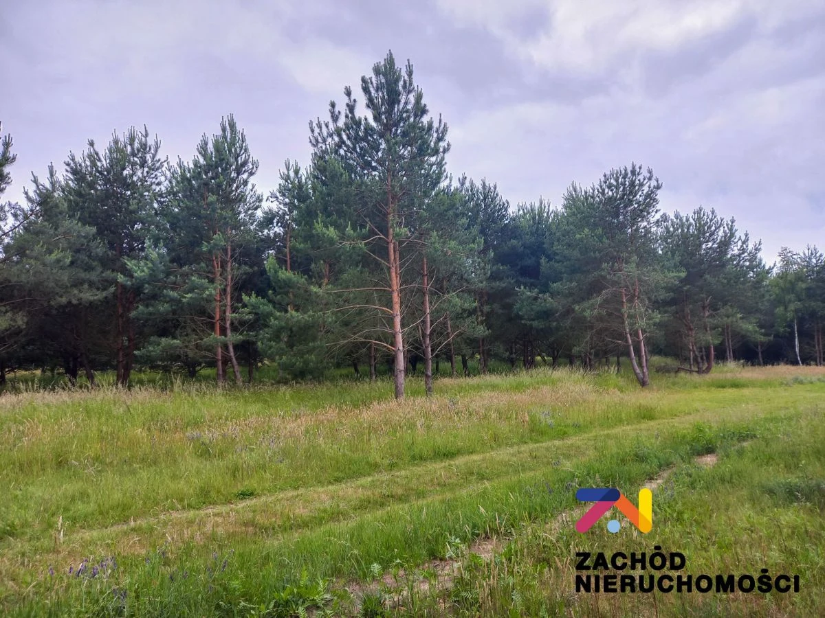Prezentujemy Państwu kompleks działek budowlanych w miejscowości Zabór, zaledwie 17km od Zielonej Góry. Idealne miejsce dla osób ceniących spokój i ciszę. - 155720227-1l.jpg