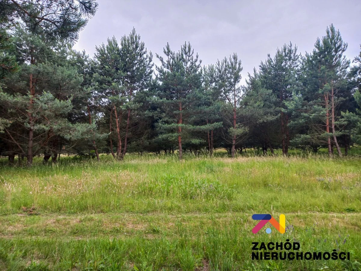 Prezentujemy Państwu kompleks działek budowlanych w miejscowości Zabór, zaledwie 17km od Zielonej Góry. Idealne miejsce dla osób ceniących spokój i ciszę. - 5