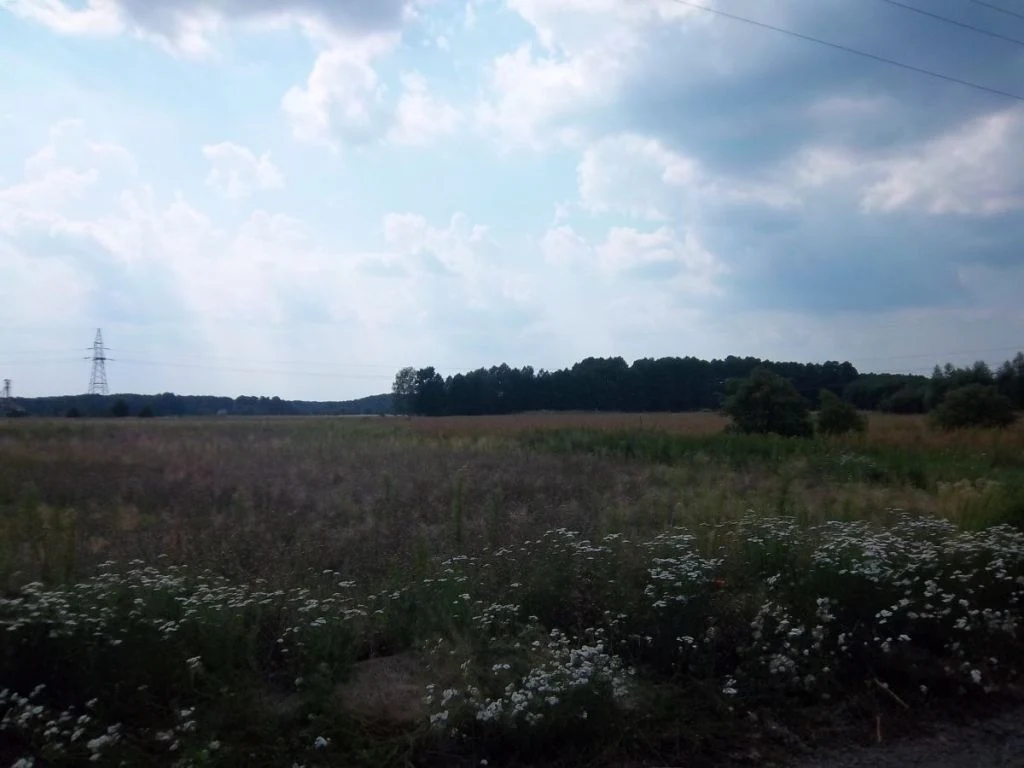 Przedstawiam Państwu dużą działkę budowlaną w Radnicy 9 km od Krosna Odrz.
