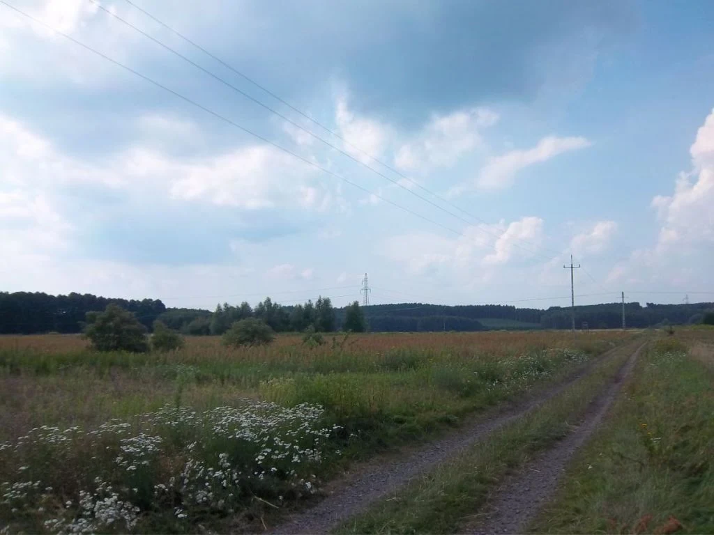 Przedstawiam Państwu dużą działkę budowlaną w Radnicy 9 km od Krosna Odrz. - 4