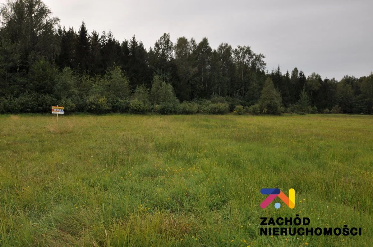 Oferujemy Państwu na sprzedaż działkę budowlaną w miejscowości Krzywczyce opow. 3029m2 zlokalizowaną w gminie Niegosłowice
