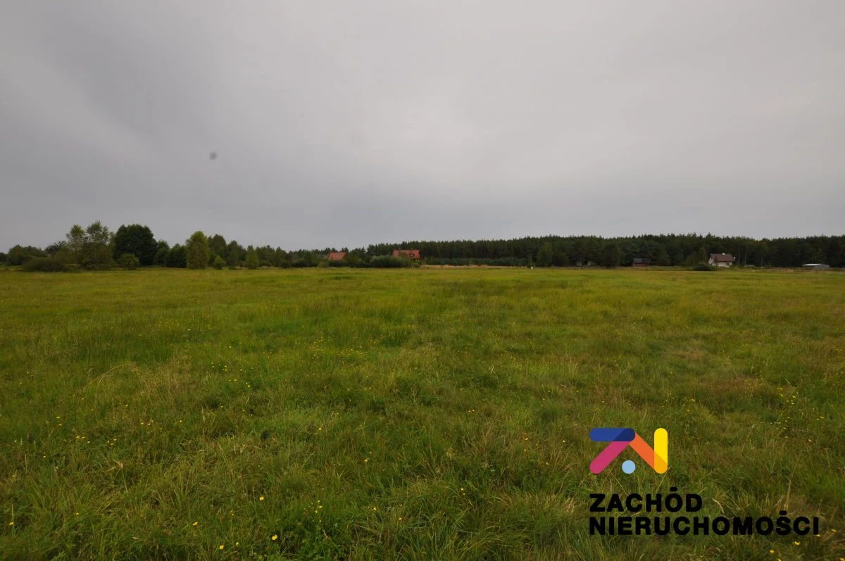Oferujemy Państwu na sprzedaż działkę budowlaną w miejscowości Krzywczyce opow. 3029m2 zlokalizowaną w gminie Niegosłowice - 4