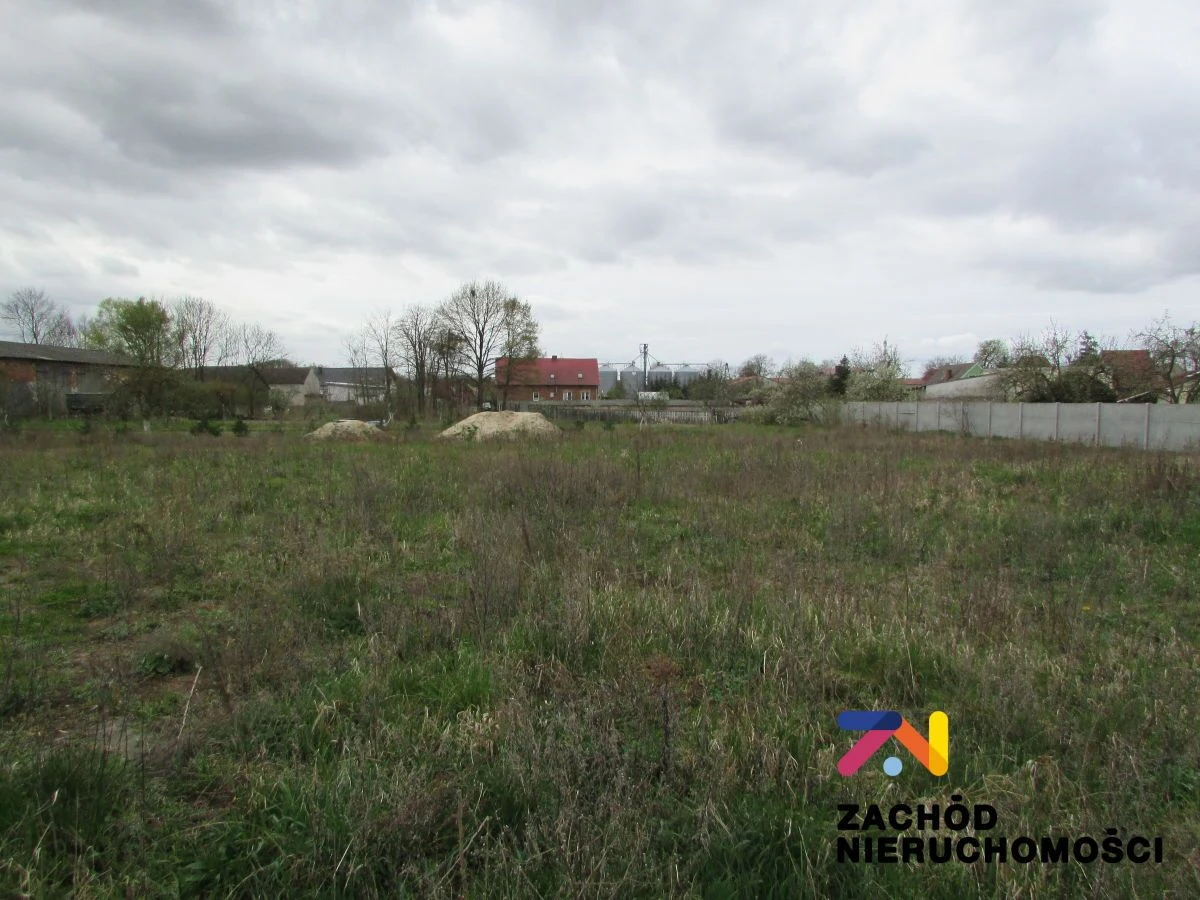 Na sprzedaż działki o powierzchni 1105 m2 oraz 1169 m2 usytuowane w miejscowości Klenica w Gminie Bojadła. Dojazd do działek drogą gminną szutrową. - 2