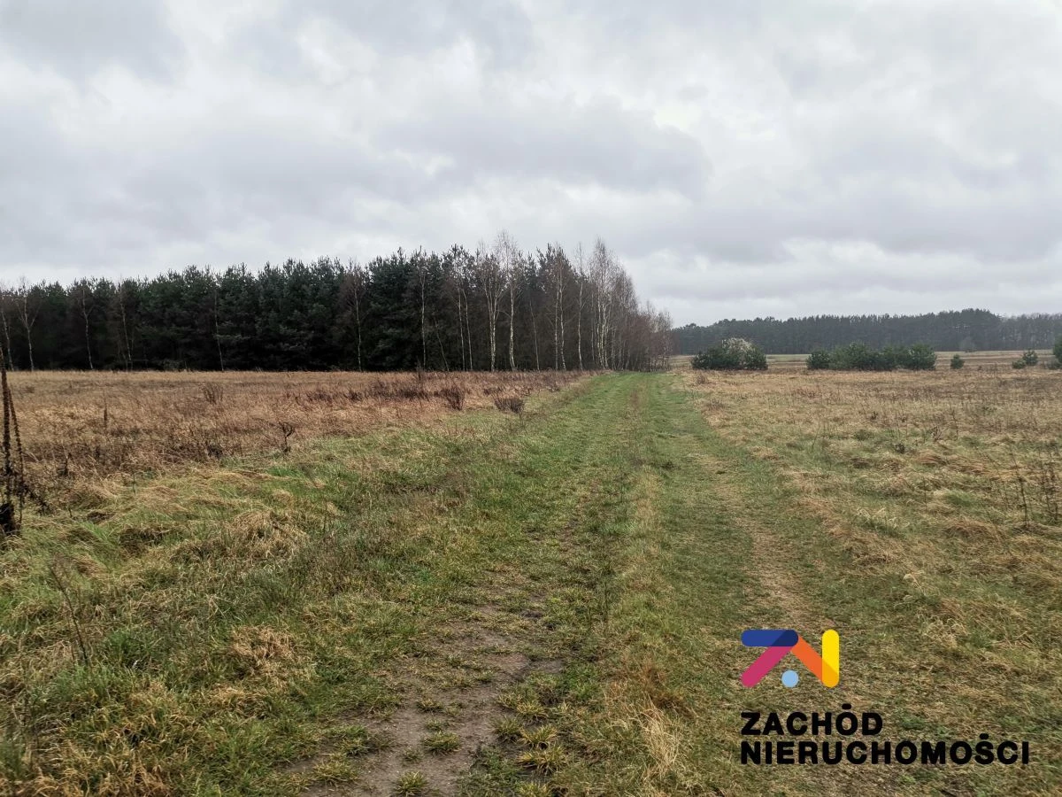OFERUJEMY PAŃSTWU NA SPRZEDAŻ DZIAŁKĘ BUDOWLANĄ Z MOŻLIWOŚCIĄ PODZIAŁU NA MNIEJSZE DZIAŁKI W MIEJSCOWOŚCI CZARNA GM. ZABÓR. - 2