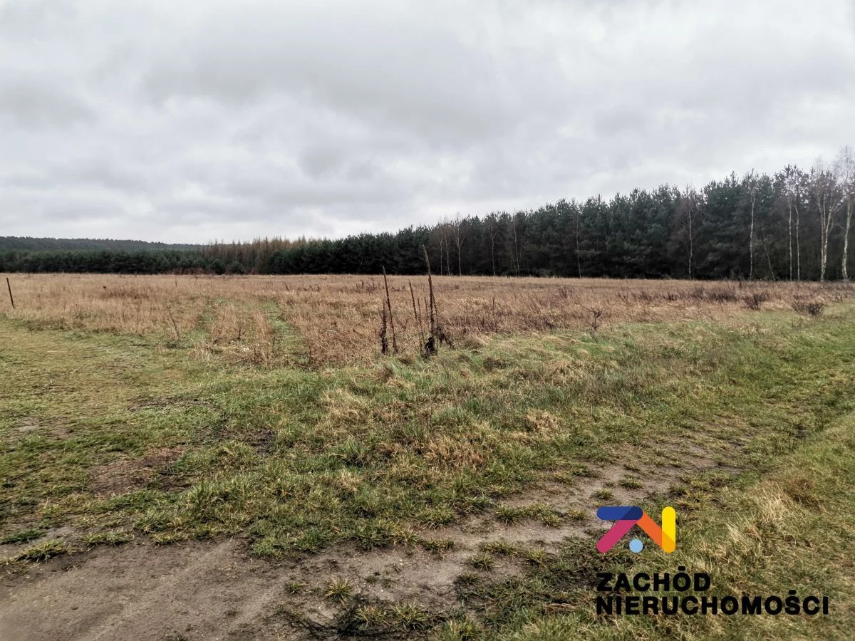 OFERUJEMY PAŃSTWU NA SPRZEDAŻ DZIAŁKĘ BUDOWLANĄ Z MOŻLIWOŚCIĄ PODZIAŁU NA MNIEJSZE DZIAŁKI W MIEJSCOWOŚCI CZARNA GM. ZABÓR. - 3