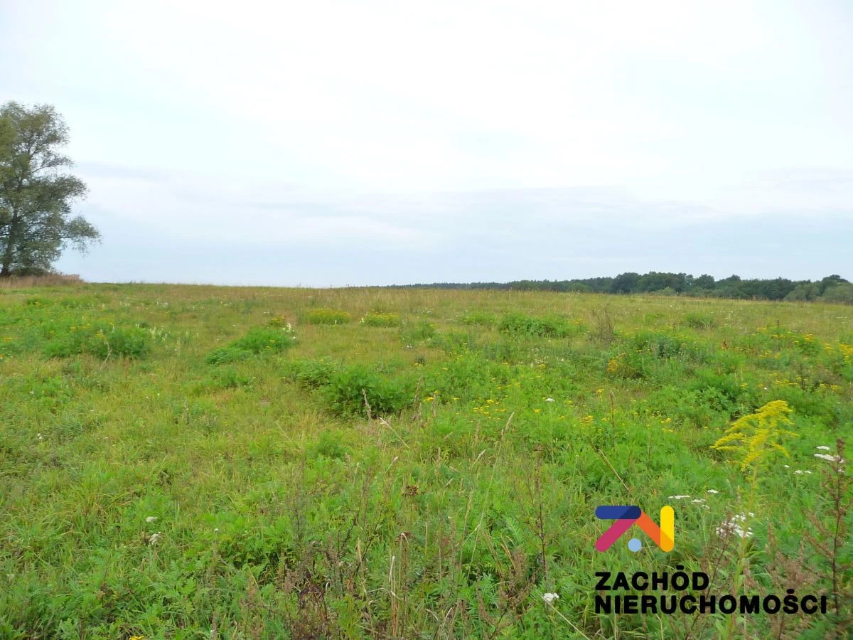 Proponujemy Państwu do sprzedaży malowniczo położoną działkę budowlaną o pow. 1069 m2 w Gminie Zabór.