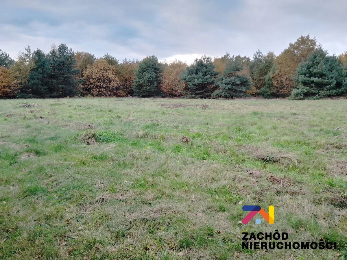 Na sprzedaż 4 działki o powierzchni od 1064 m2 do 1186 m2 zlokalizowana w miejscowości Świdnica koło Zielonej Góry. Działki w kształcie prostokąta, nie zadrzewiona, oddalona 200 m od najbliższych zab…