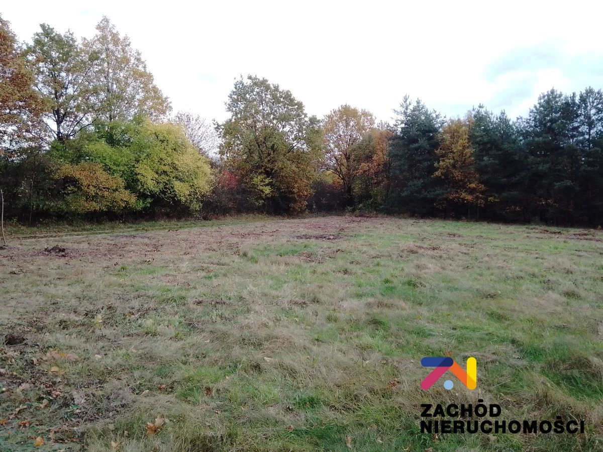 Na sprzedaż 4 działki o powierzchni od 1064 m2 do 1186 m2 zlokalizowana w miejscowości Świdnica koło Zielonej Góry. Działki w kształcie prostokąta, nie zadrzewiona, oddalona 200 m od najbliższych zab… - 5