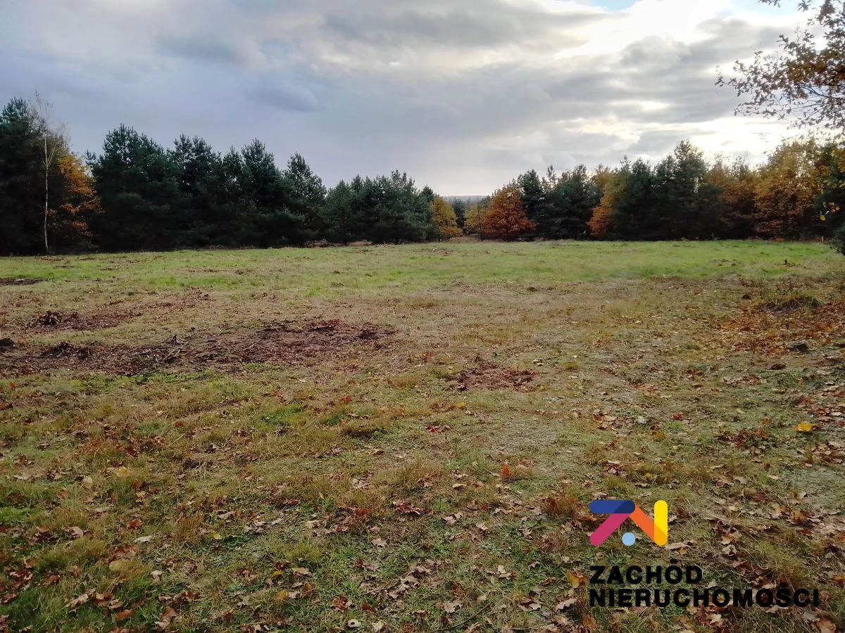 Na sprzedaż 4 działki o powierzchni od 1064 m2 do 1186 m2 zlokalizowana w miejscowości Świdnica koło Zielonej Góry. Działki w kształcie prostokąta, nie zadrzewiona, oddalona 200 m od najbliższych zab… - 4